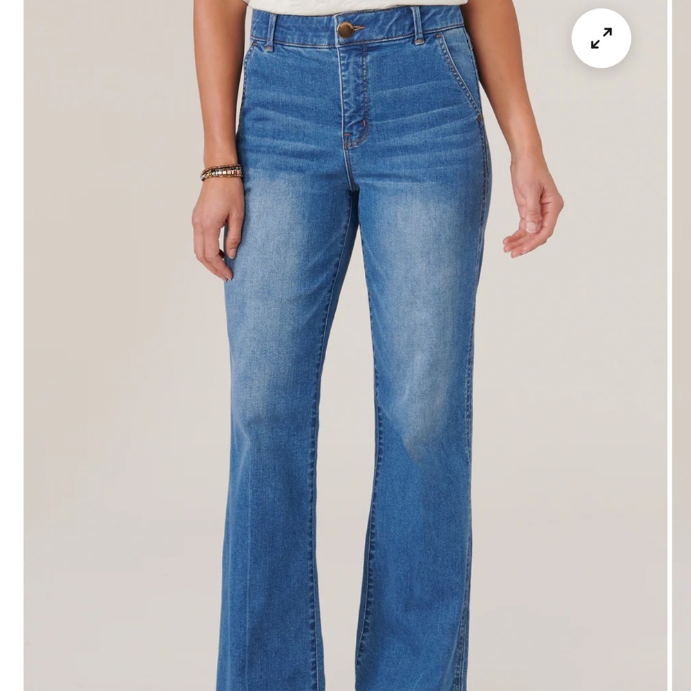 Democracy Ab-Solution Double Seam Wise Leg  Flare Jeans
